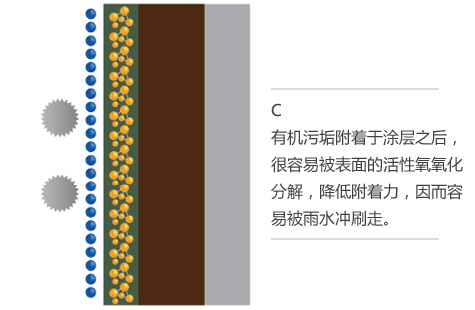 ¾»ö²×Ô½àÍ¿²ã1440_20.jpg ¾»ö²×Ô½àÍ¿²ã1440_20.jpg